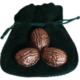 Copper Shells (Antique Copper)