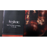 Aesthetic by James Miller - DVD