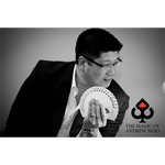 Illuminating Ideas (English) by Andrew Woo - ebook DOWNLOAD