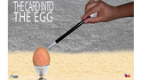 THE CARD INTO THE EGG (Gimmicks and Online Instructions) by Alan Alfredo Marchese and Aprendemagia