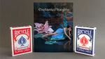 ENCHANTED INSIGHTS BLUE (Italian Instruction) by Magic Entertainment Solutions - Trick