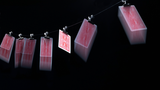 Gravity Clips by Greg Van Holsbeck