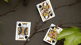 Mantis Playing Cards (Marked)