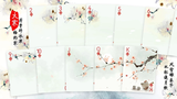 Bicycle Seasons (Winter Edition) Playing Cards