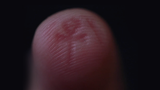 The Artefact by Matthew Wright