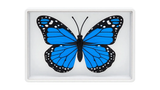 Omni Butterfly by Hyde Ren & Bacon Magic