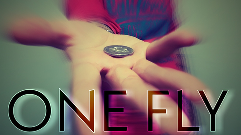 One Fly by Alessandro Criscione video DOWNLOAD